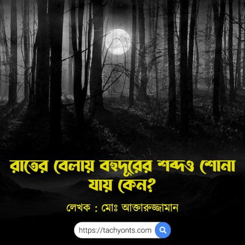 why-we-hear-clear-at-night